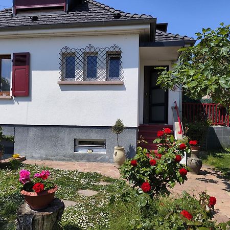 Colmar , Séjour calme chez l'habitant Exterior foto