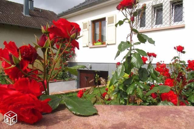 Colmar , Séjour calme chez l'habitant Exterior foto