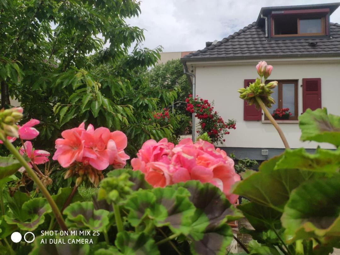 Colmar , Séjour calme chez l'habitant Exterior foto